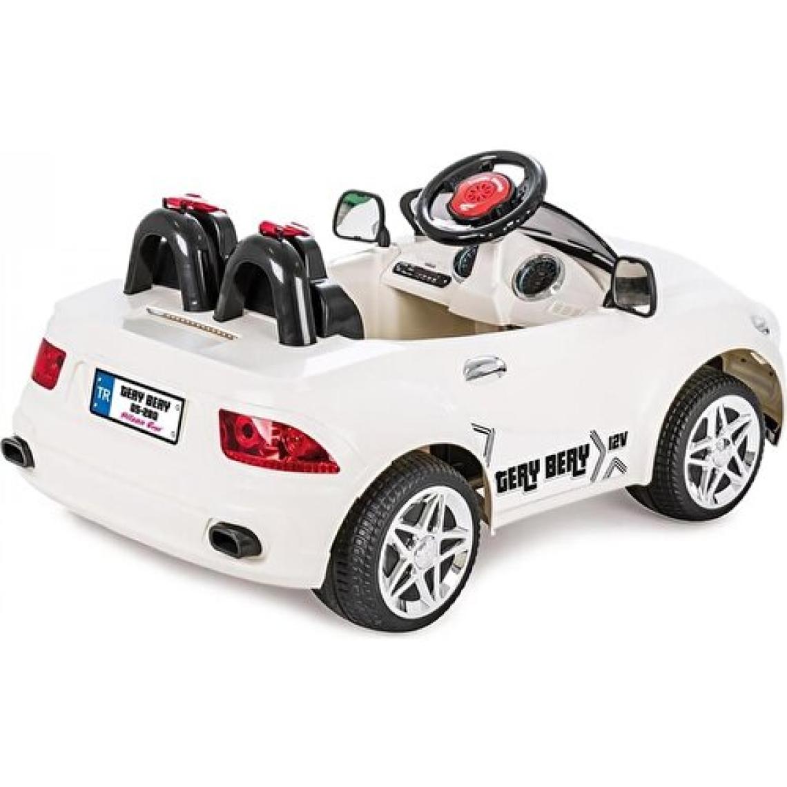 Pilsan Tery Bery 12V Akülü Araba