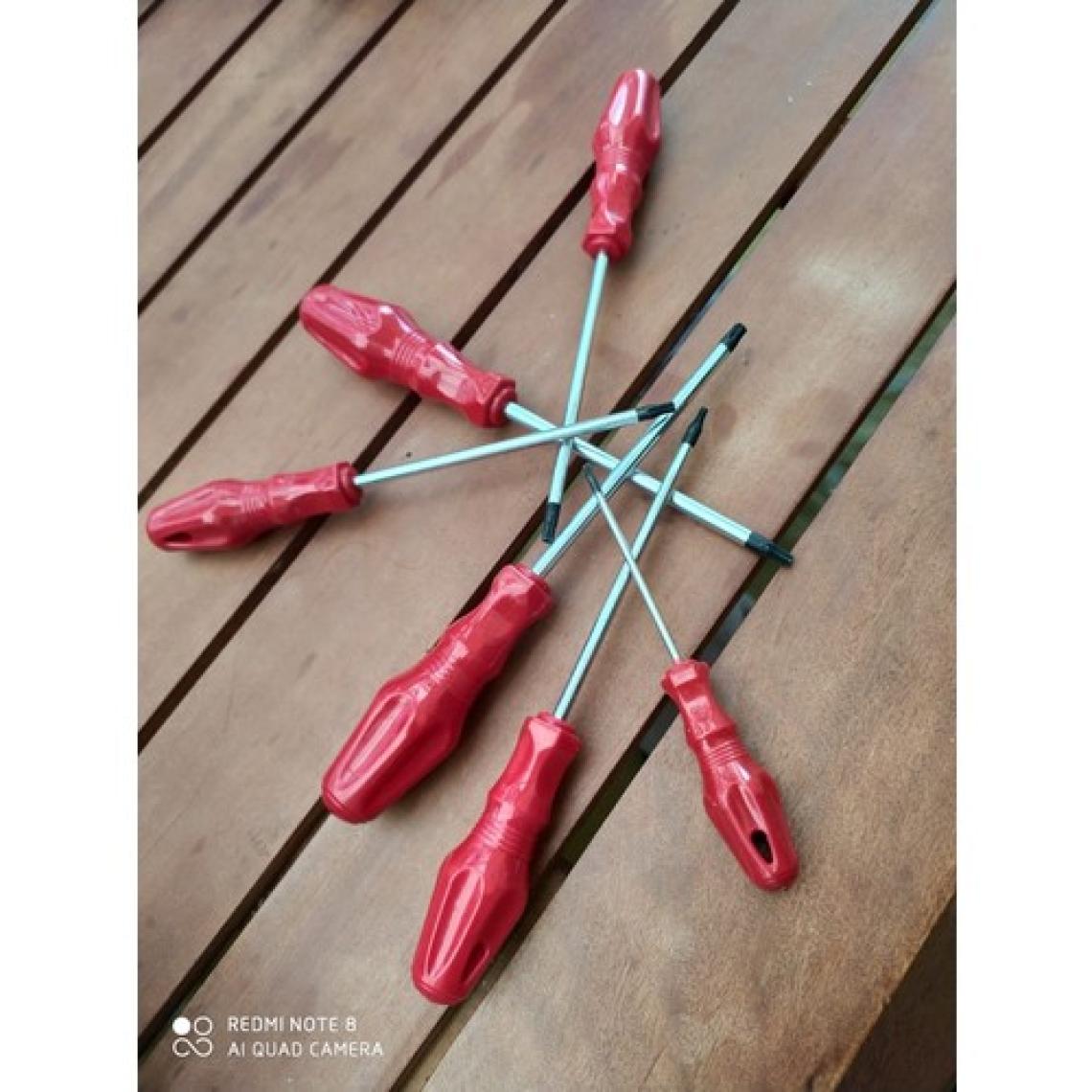 Biotech 6 Parça Torx Uçlu Alaşımlı Çelik Manyetik Tornavida Seti  T15 T20 T25 T27 T30 T40