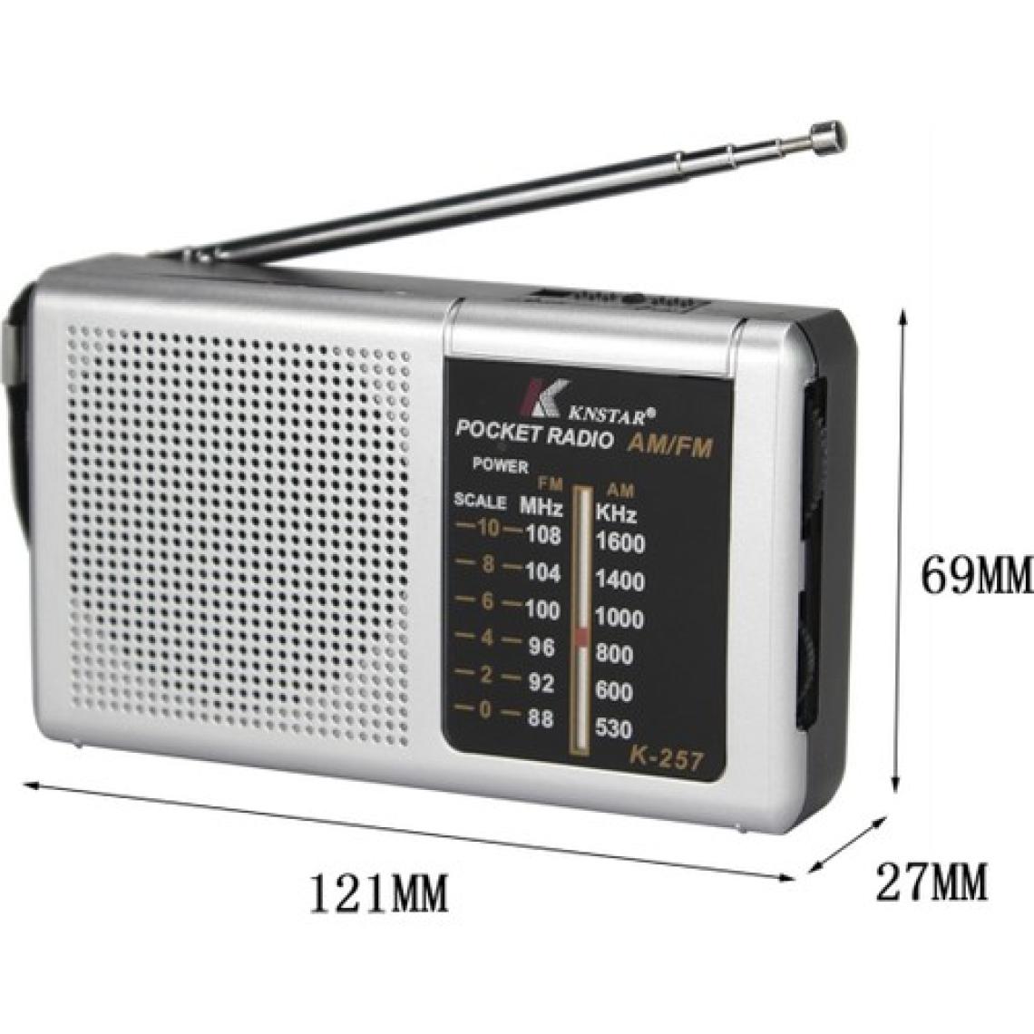 Rozia Mini Cep Tipi Taşınabilir Am / Fm Radyo K-257 Pilli
