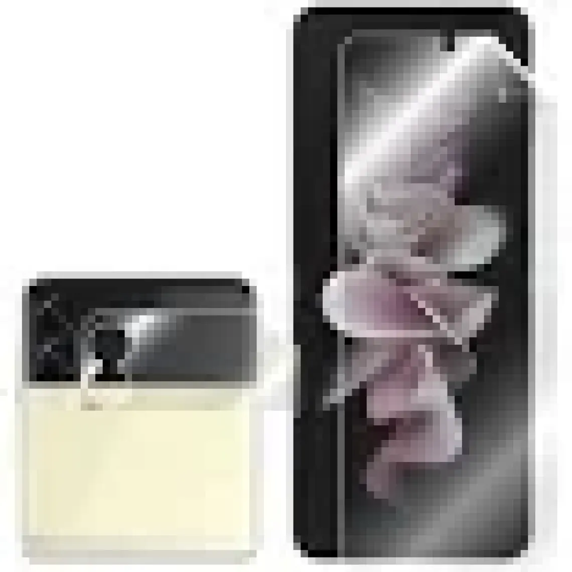 Ipg Samsung Galaxy Z Flip3 Görünmez Ekran Koruyucu (Ön ve Iç Ekran)