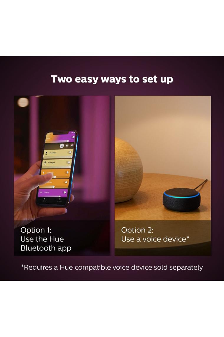 Philips Hue Iris - Bakır (Özel Seri)