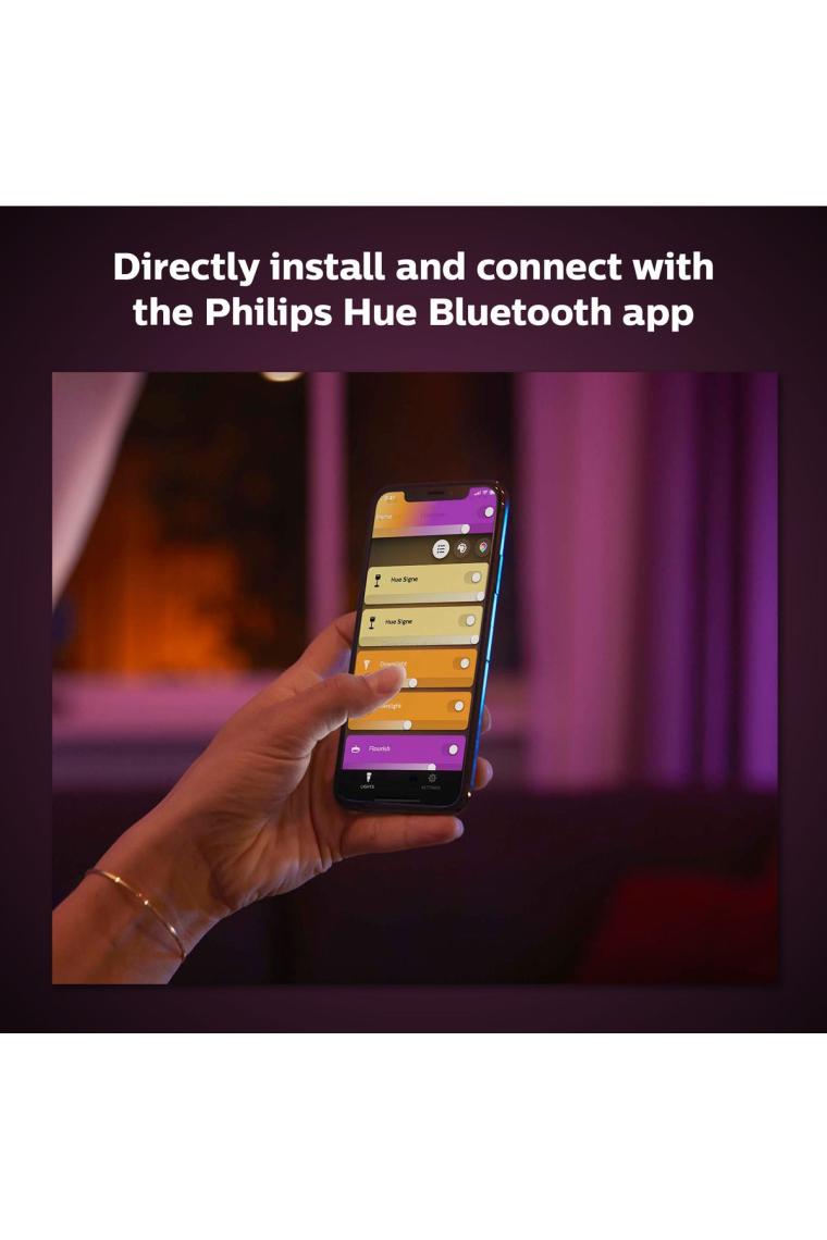 Philips Hue Iris - Bakır (Özel Seri)