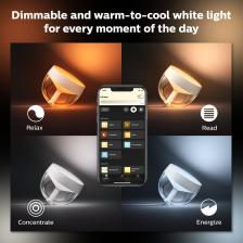 Philips Hue Iris - Bakır (Özel Seri)