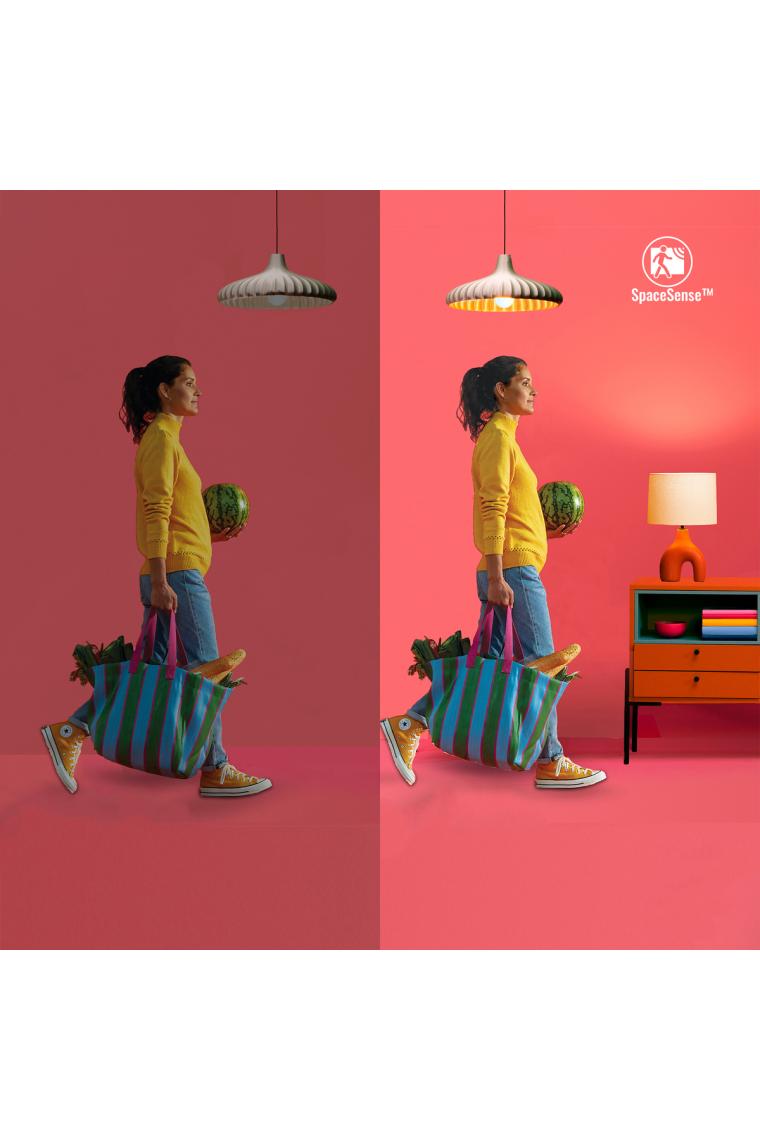 100W Renkli Ambiyans E27 Akıllı Ampul (A67) Matter, Google Home, Alexa Uyumlu