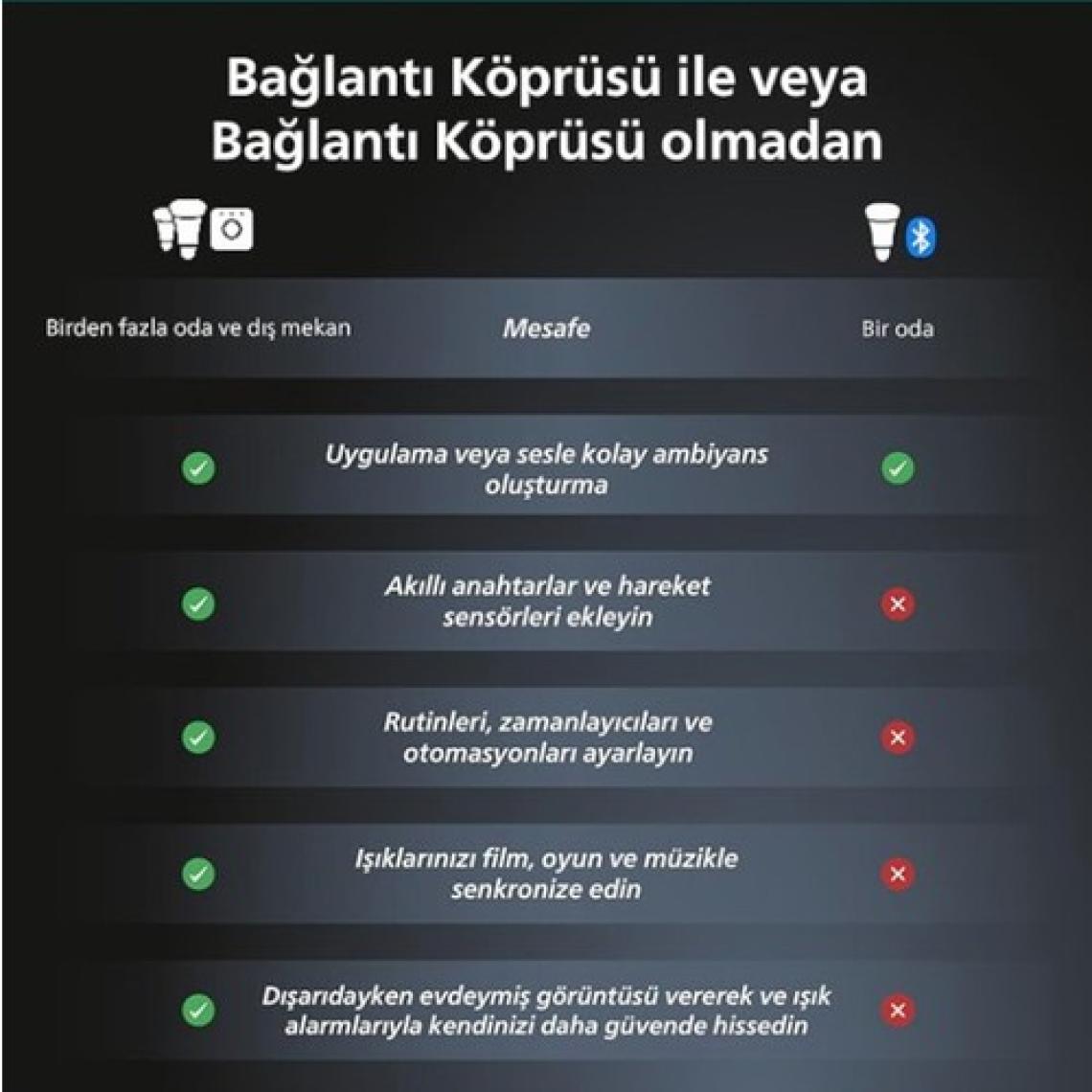 Philips Hue Akıllı Işık Köprüsü