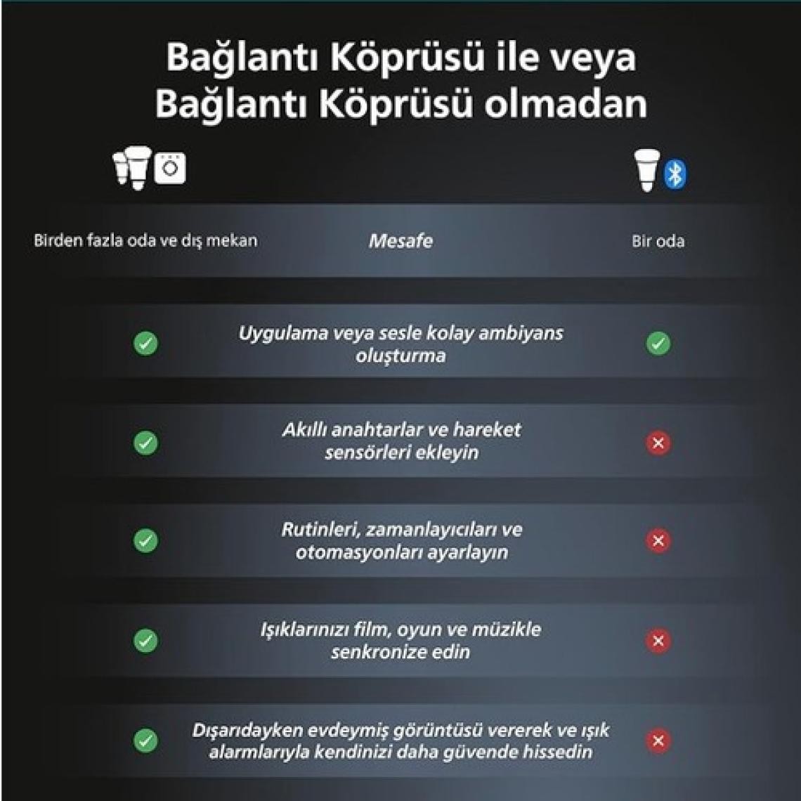 Philips Hue Akıllı Işık Köprüsü
