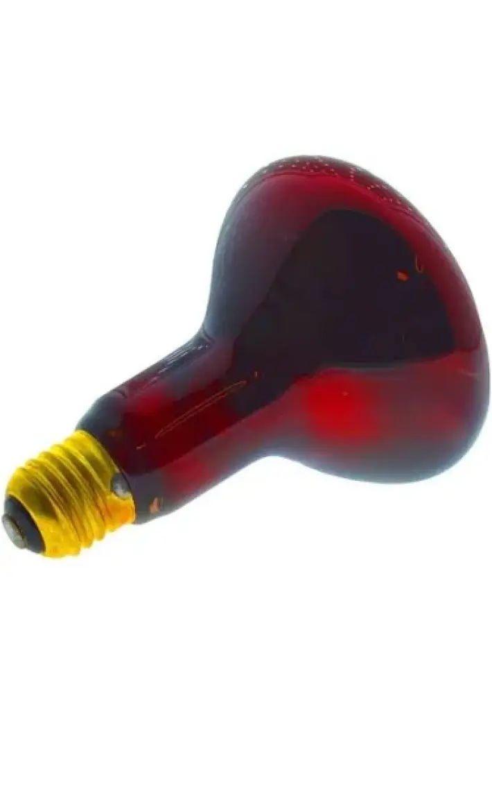 Şavk 250W Isı Ampulü R125 220V Kırmızı Cam