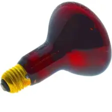 Şavk 250W Isı Ampulü R125 220V Kırmızı Cam