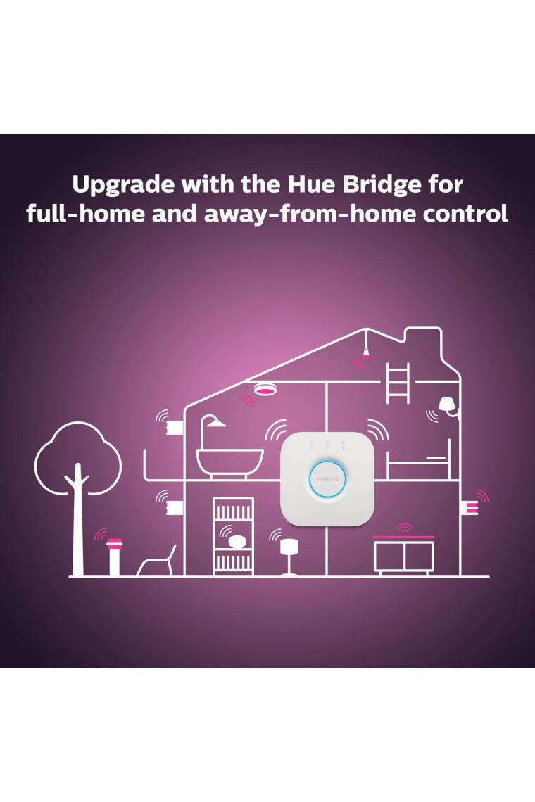 Philips Hue Iris - Gümüş (Özel Seri)