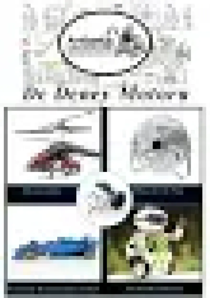 Artlantis Deney Motoru 3 Volt 3 Adet 3V - 6 V Dc Yüksek Devir Dinamo Motoru Okul Hobi Mini Motor 2 Adet Pille Çalışır