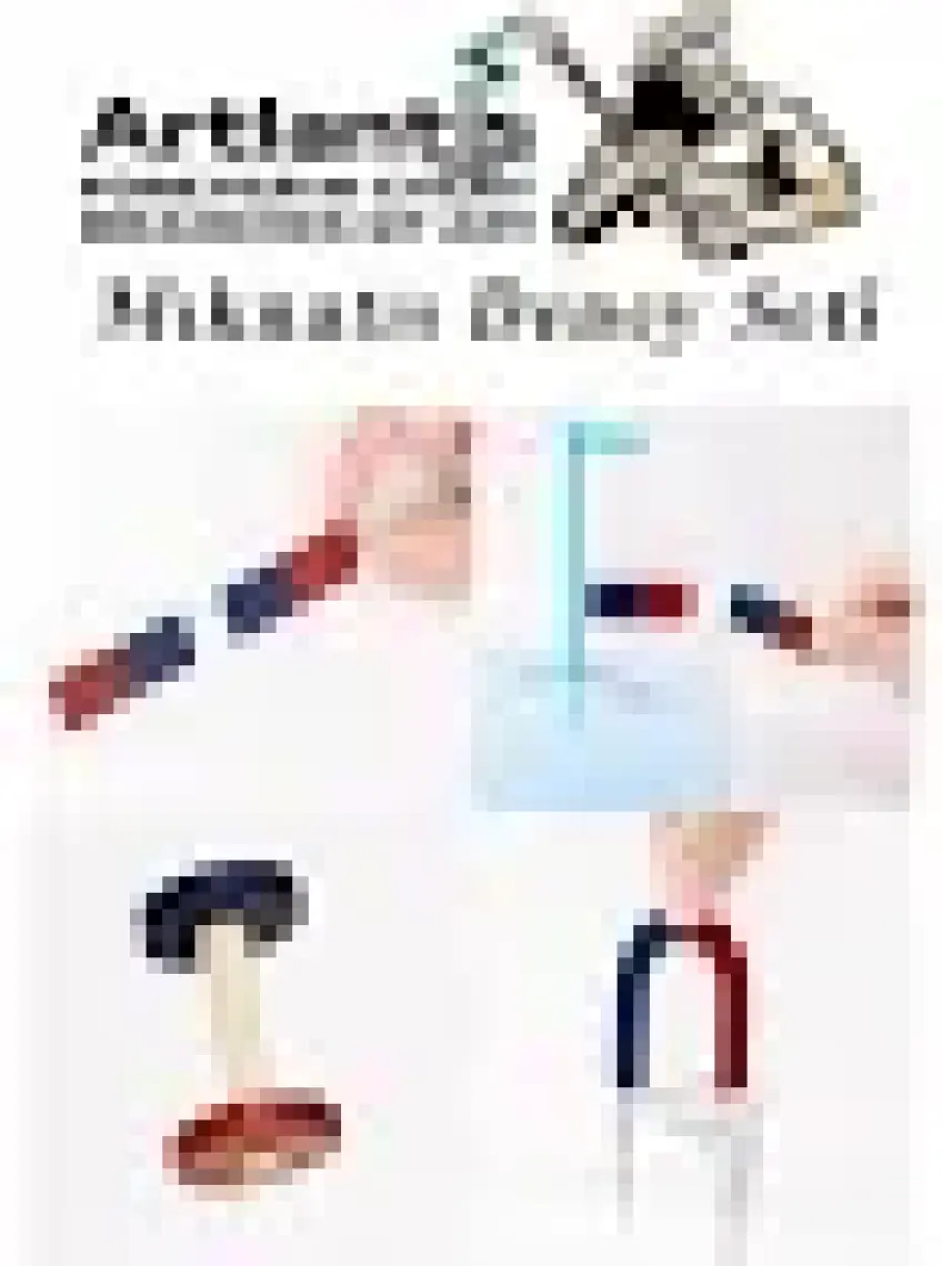 Artlantis Mıknatıs Seti 1 Paket Deney Malzemesi Okul Projeleri Için Manyetik Mıknatıs Deney Oyun Seti Eğitici