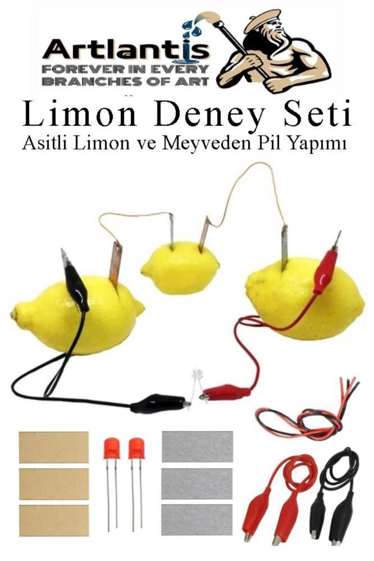 Elektrik Limon Deney Seti 1 Paket Limondan Elektrik Üretme Seti Limon Pili Fen Bilgisi Dersi Kimyasa
