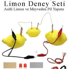 Elektrik Limon Deney Seti 1 Paket Limondan Elektrik Üretme Seti Limon Pili Fen Bilgisi Dersi Kimyasa