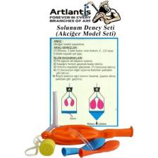 Artlantis Solunum Deney Seti 7 Parça 1 Paket Model Seti Y Boru Tıpa Balon Okul Sınıf Deney Seti