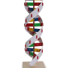Edulab Dna Modeli