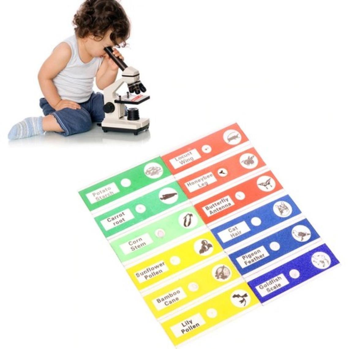 Ece Mikroskop Slayt Preparat Seti 12'li Karma Başlangıç