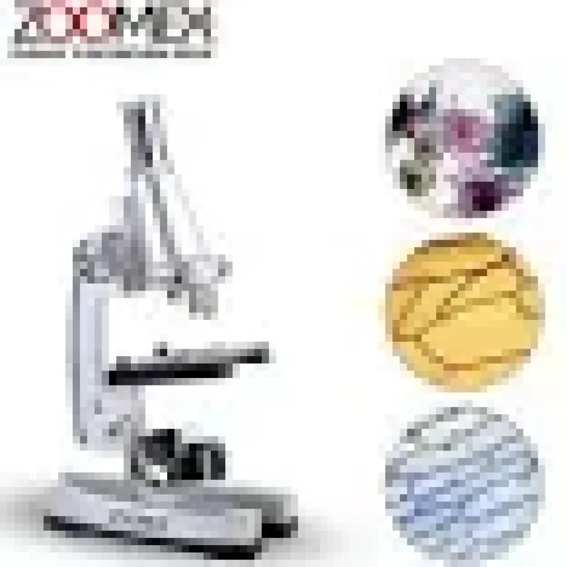 Zoomex MP-B600 Mikroskop Set - 600 Kat Büyütme - Eğitici ve Öğretici - Geleceğin Bilim İnsanı Olun!