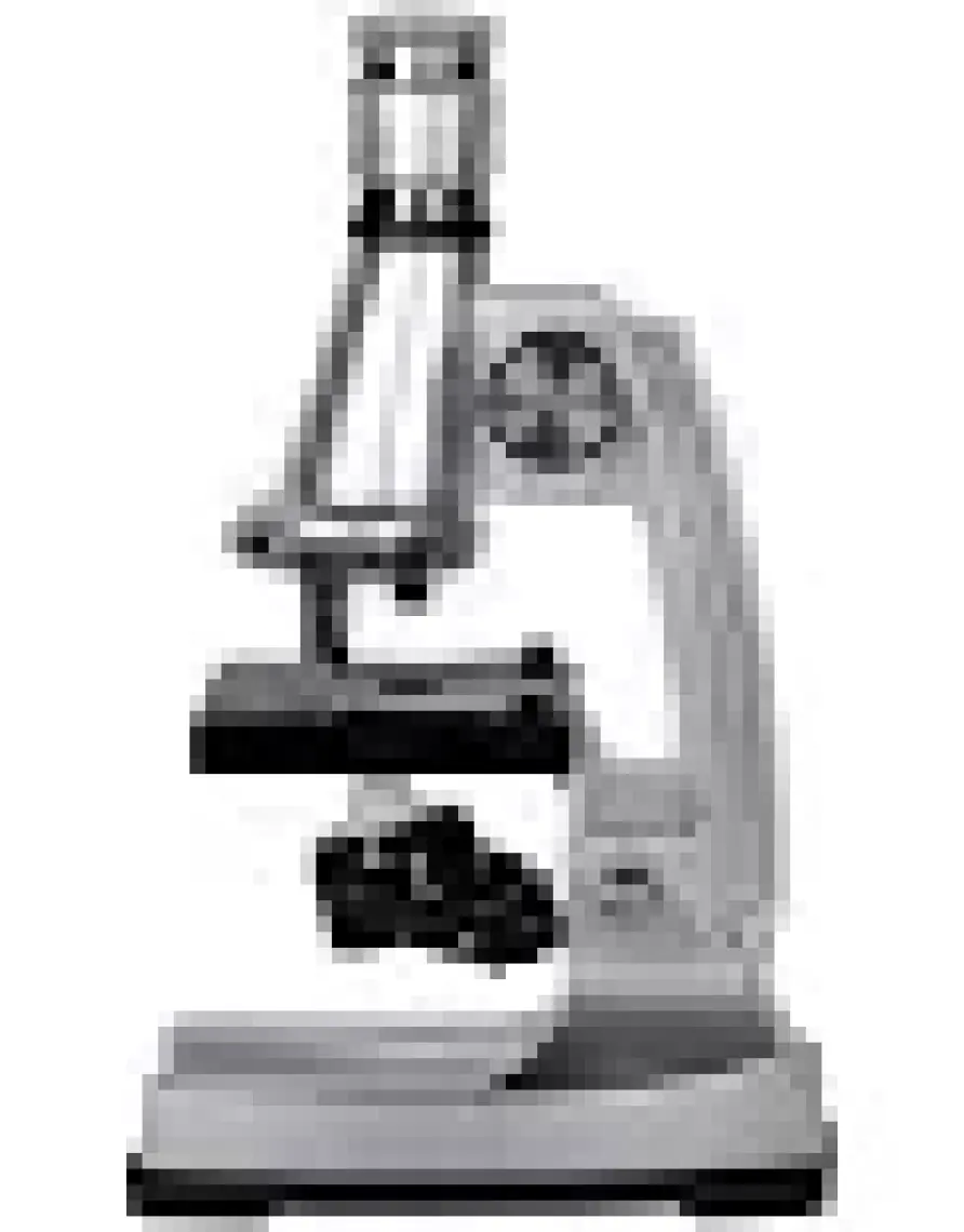 Zoomex STX-1200 Mikroskop Set - 1200 Kat Büyütme - Eğitici ve Öğretici - Geleceğin Bilim İnsanı Olun!