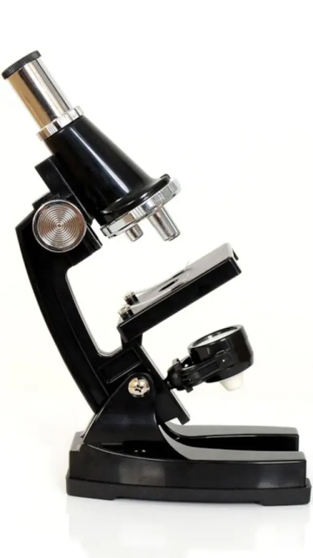 Zoomex MP-B900 Mikroskop Set - 900 Kat Büyütme - Eğitici ve Öğretici - Geleceğin Bilim İnsanı Olun!