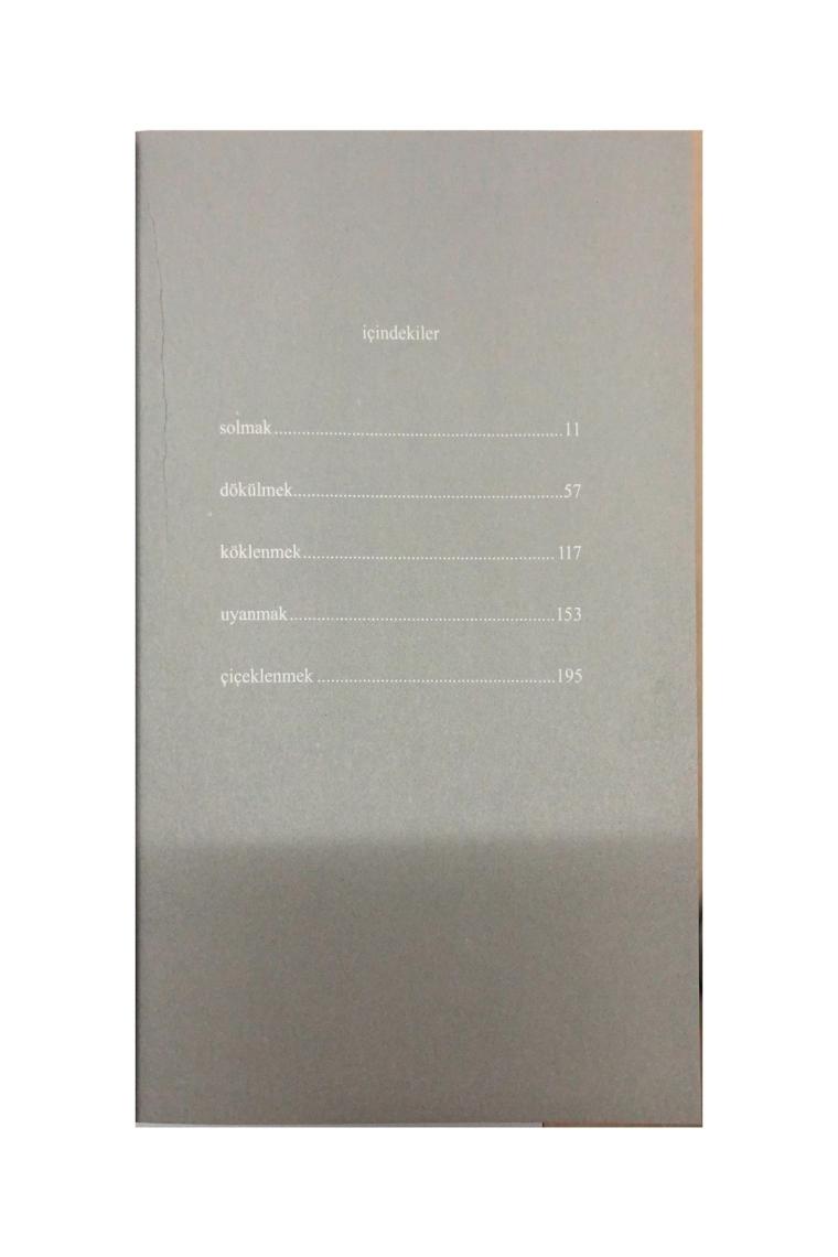 Güneş Ve Onun Çiçekleri - Rupi Kaur