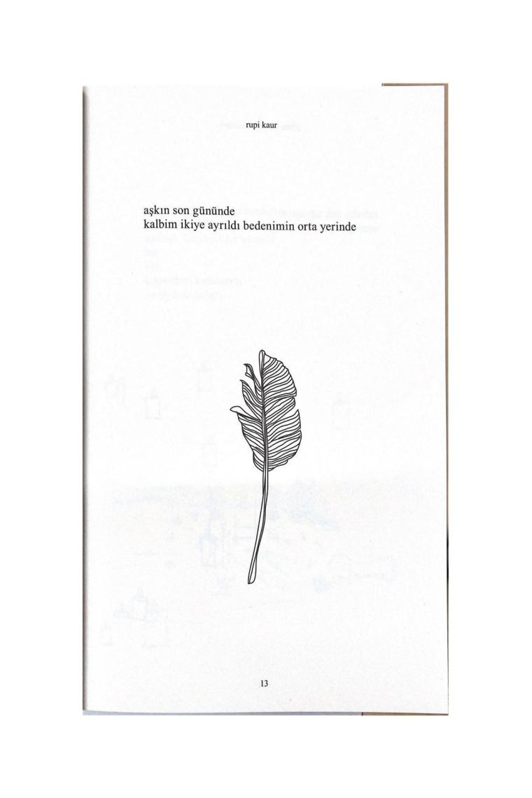 Güneş Ve Onun Çiçekleri - Rupi Kaur