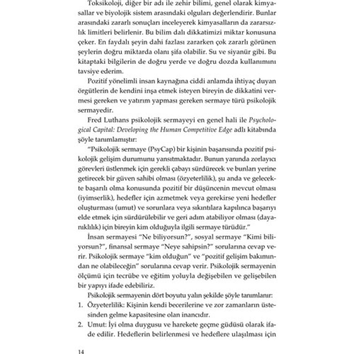 Bu Bir Yatırım Tavsiyesidir - Psikolojik Sermaye - Hülya Mutlu