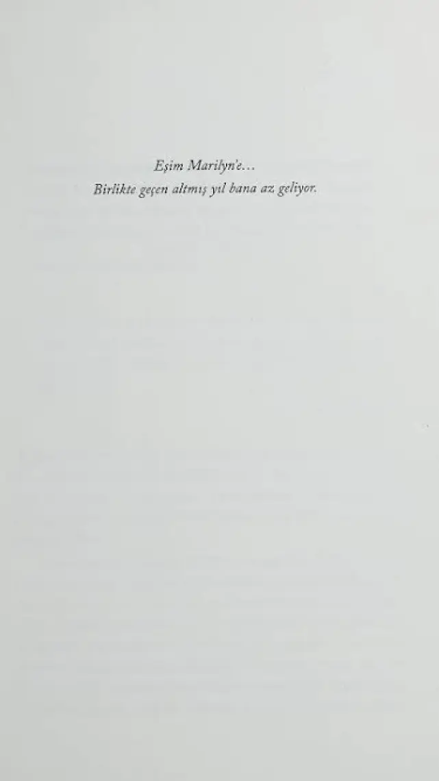 Günübirlik Hayatlar - Irvin D. Yalom