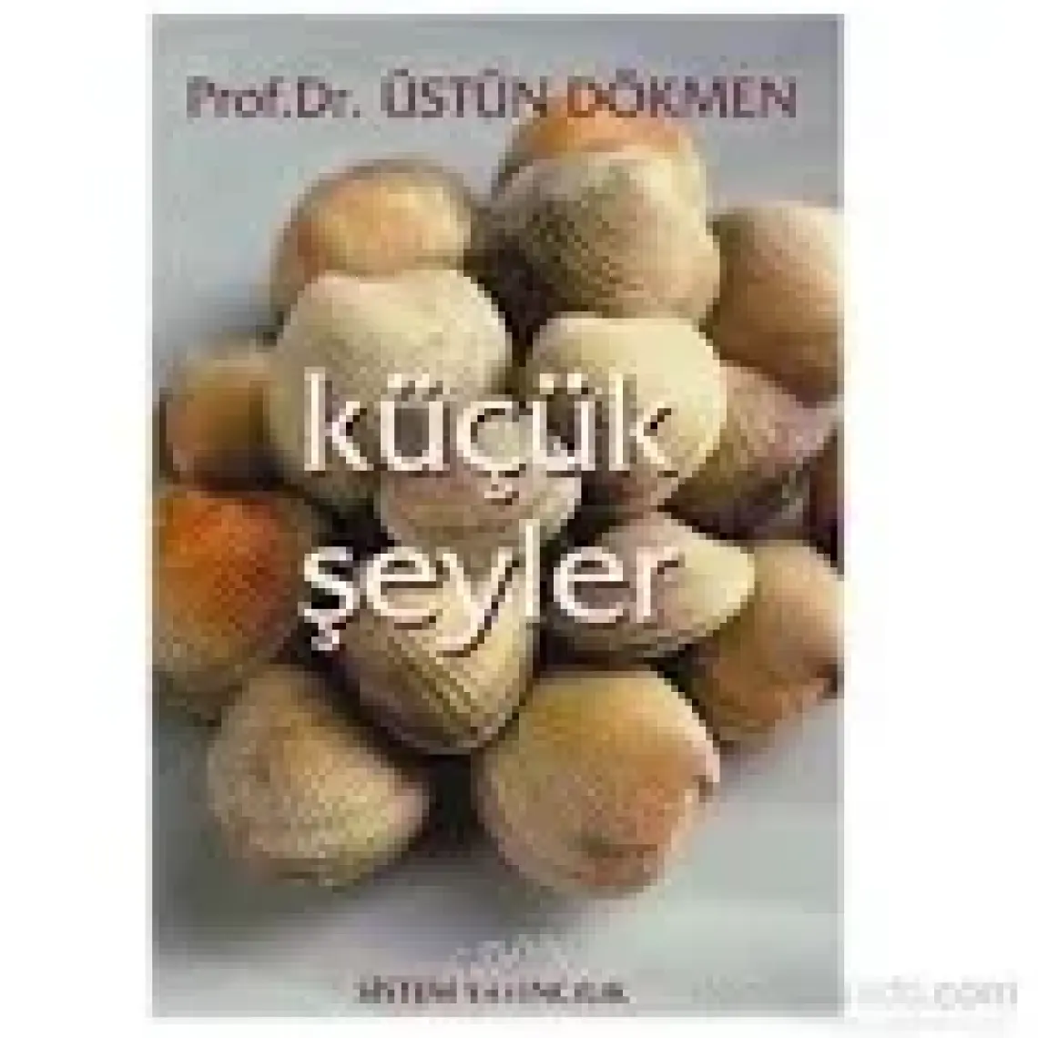 Küçük Şeyler 1-Üstün Dökmen