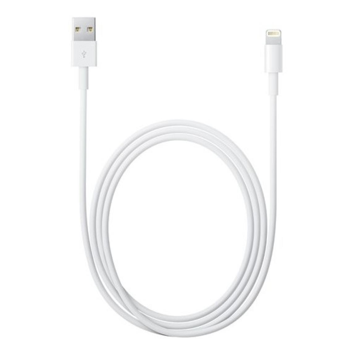 Apple Lightning 0.5 m ME291ZM/A Data ve Şarj Kablosu