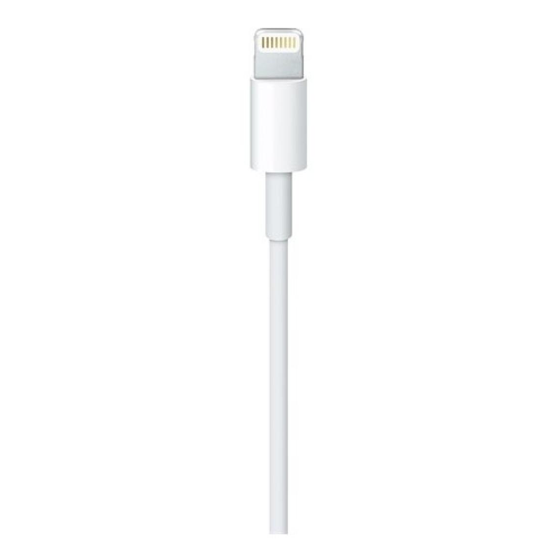Apple Lightning 0.5 m ME291ZM/A Data ve Şarj Kablosu