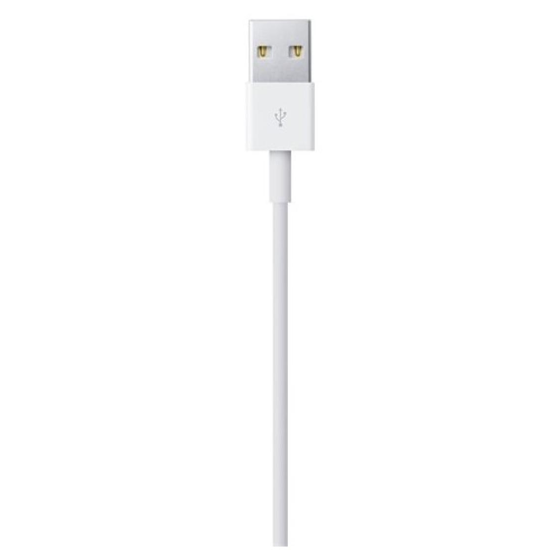Apple Lightning 0.5 m ME291ZM/A Data ve Şarj Kablosu