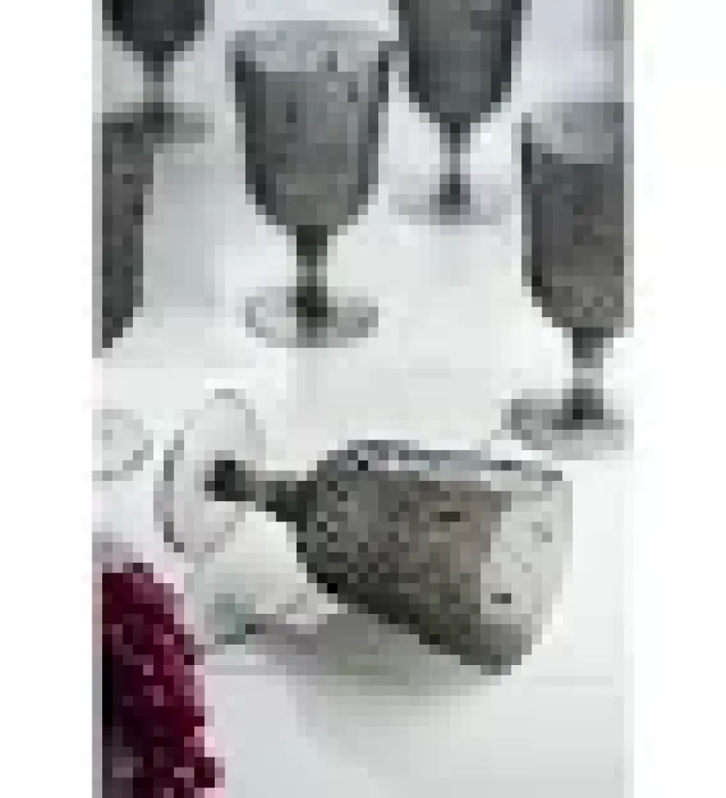 Molvea Akrilik 6'lı Kadeh & Su Meşrubat Kahve Yanı Bardağı 450 ml ( Cam Değildir )