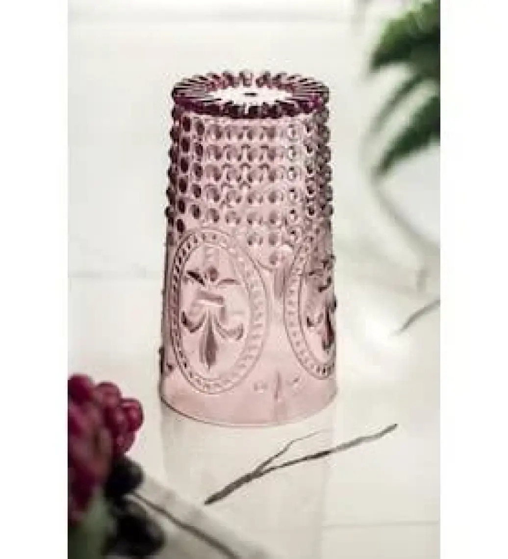 Depa Akrilik Mürdüm 6'lı Uzun Bardak & Su Meşrubat Bardağı 750 ml ( Büyük Boy & Cam Değildir )