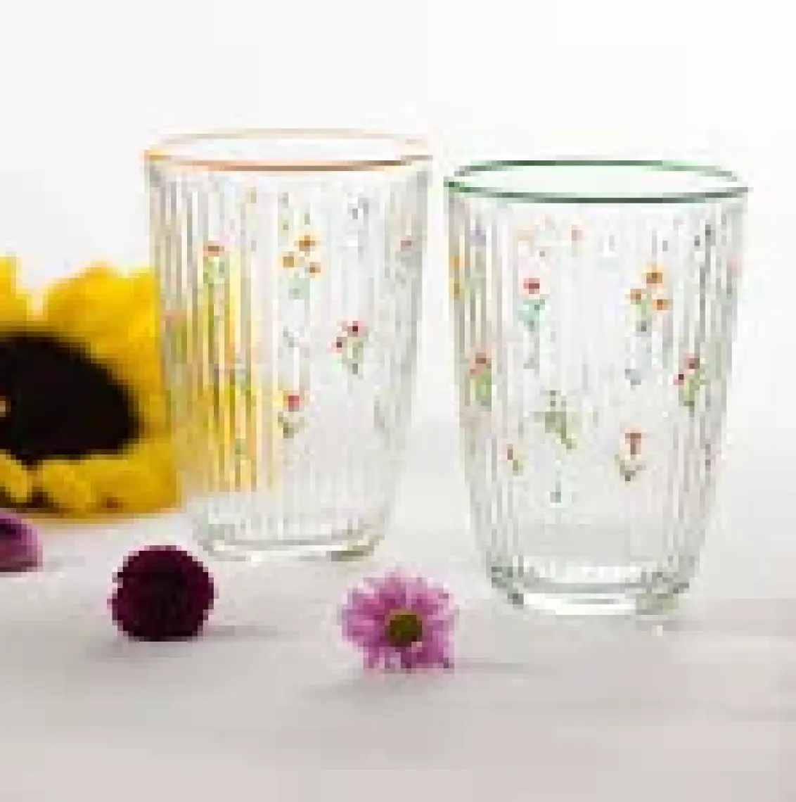 Botanical 4'lü Meşrubat Bardağı Seti 395 cc