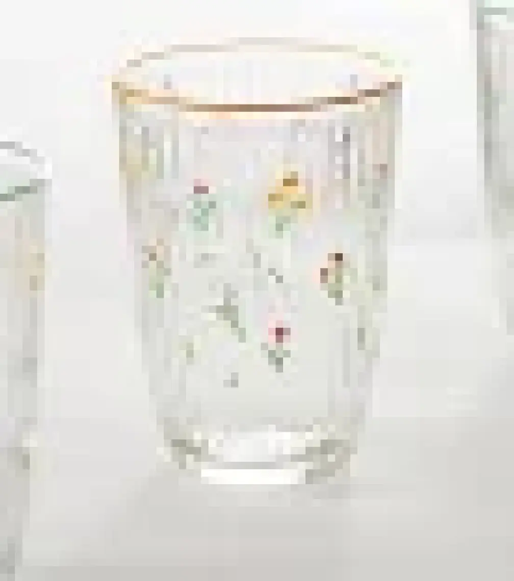 Botanical 4'lü Meşrubat Bardağı Seti 395 cc