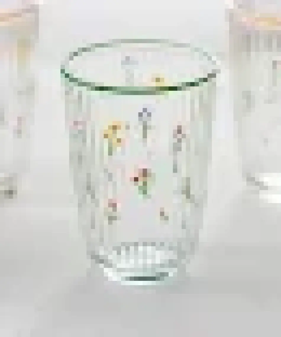 Botanical 4'lü Meşrubat Bardağı Seti 395 cc