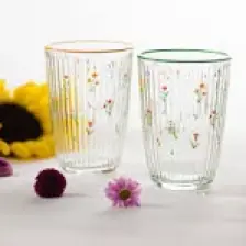 Botanical 4'lü Meşrubat Bardağı Seti 395 cc