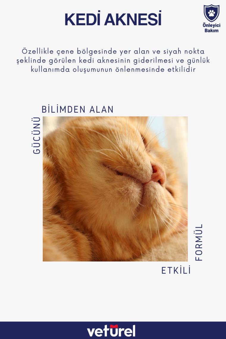 Kedi Yüz Temizleme Solüsyonu Kedi Aknesi Gözyaşı Lekesi Göz Damlası Akıntı Kaşıntı Bakımı 100ml