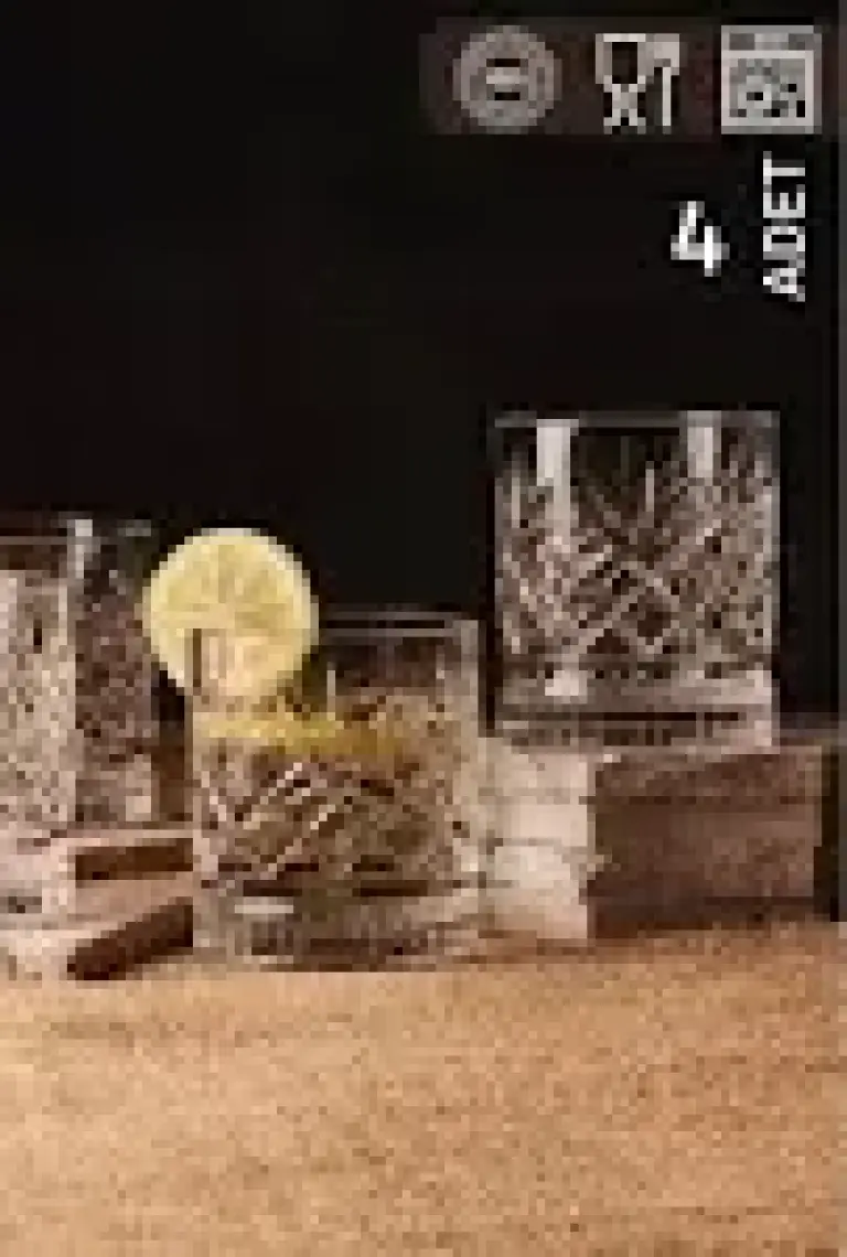 Homenıva Agave 4’lü Cam Bardak Seti 220 ml