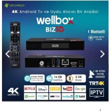 Wellbox BİZ10 Android TV Box ve Uydu Alıcısı – 4K Ultra HD, Wi‑Fi, Ethernet, HDMI, USB, Bluetooth Bağlantılı