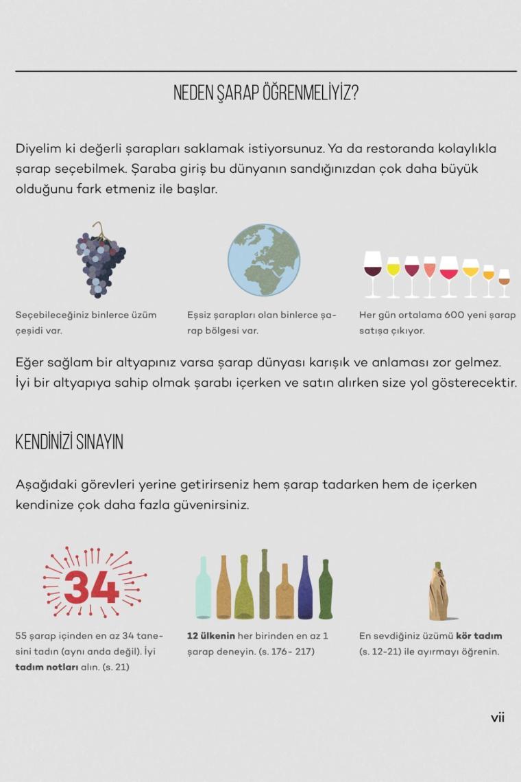 Şarap Rehberi: Wine Folly Ekibinden Pratik Bilgiler - Madeline Puckette