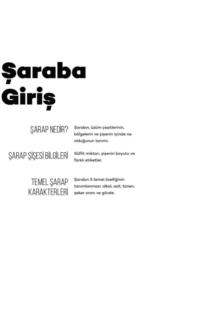 Şarap Rehberi: Wine Folly Ekibinden Pratik Bilgiler - Madeline Puckette