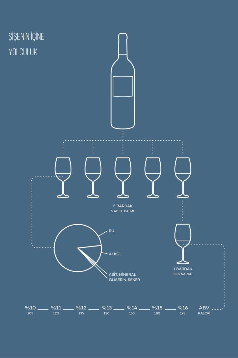 Şarap Rehberi: Wine Folly Ekibinden Pratik Bilgiler - Madeline Puckette