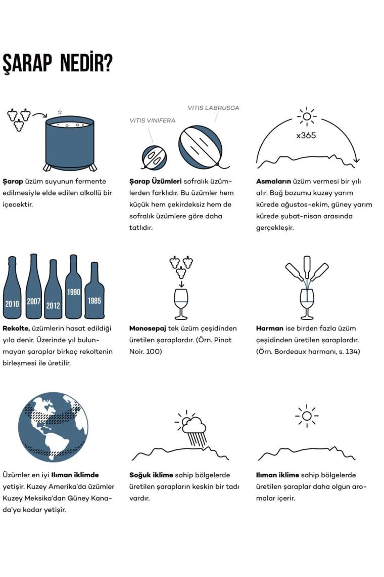 Şarap Rehberi: Wine Folly Ekibinden Pratik Bilgiler - Madeline Puckette