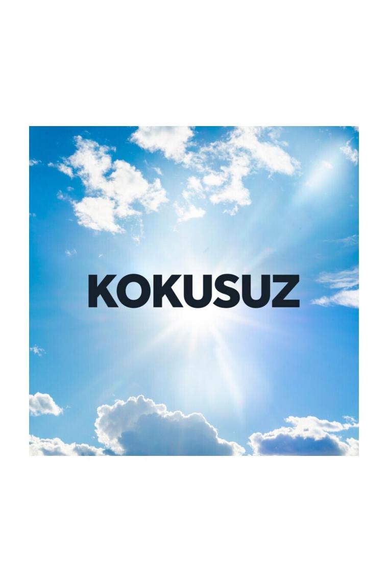 Su bazlı Kokusuz Sineksavar 229 gr