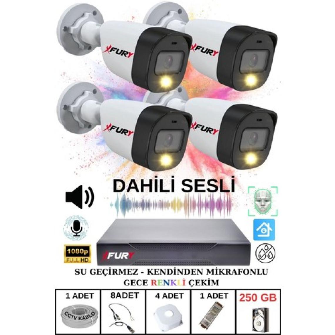 Fury 4 Lü Sesli Gece Renkli Görüş Güvenlik Kamerası Su Geçirmez Güvenlik Kamerası Seti 250GB