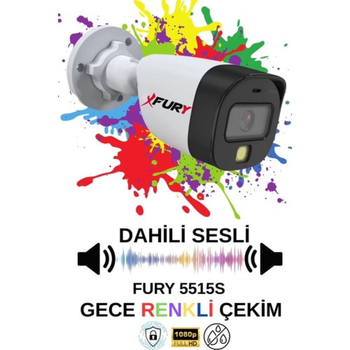 Fury 4 Lü Sesli Gece Renkli Görüş Güvenlik Kamerası Su Geçirmez Güvenlik Kamerası Seti 250GB