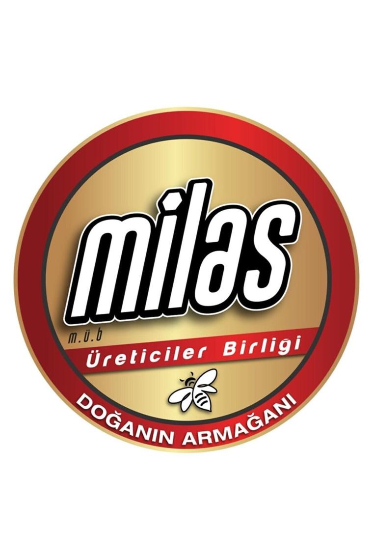 Çam Balı 1 Kg (4 Adet)