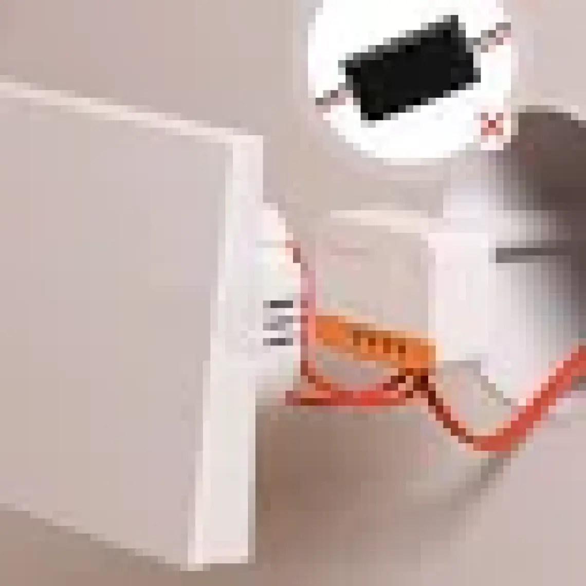 Sonoff ZigBee Mini L2 Akıllı Röle