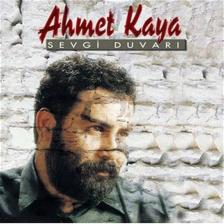 Ahmet Kaya / Sevgi Duvarı (PLAK)